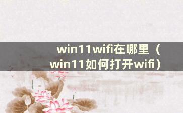 win11wifi在哪里（win11如何打开wifi）