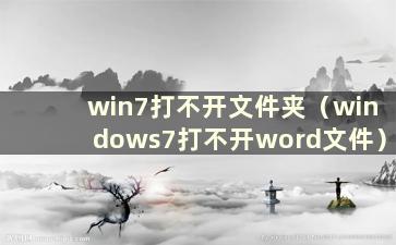 win7打不开文件夹（windows7打不开word文件）