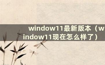 window11最新版本（window11现在怎么样了）