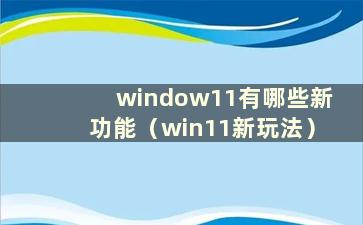 window11有哪些新功能（win11新玩法）