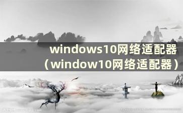 windows10网络适配器（window10网络适配器）