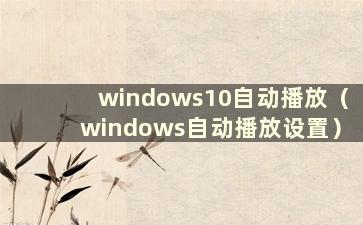 windows10自动播放（windows自动播放设置）
