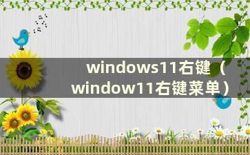 windows11右键（window11右键菜单）