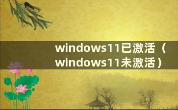 windows11已激活（windows11未激活）