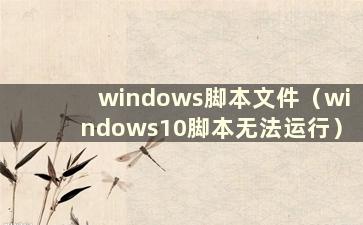 windows脚本文件（windows10脚本无法运行）