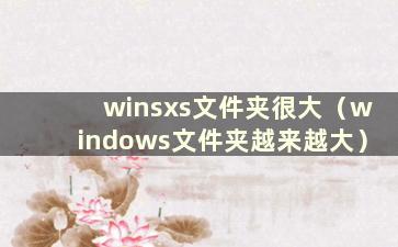 winsxs文件夹很大（windows文件夹越来越大）