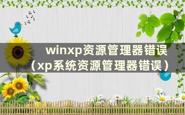 winxp资源管理器错误（xp系统资源管理器错误）