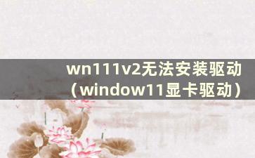 wn111v2无法安装驱动（window11显卡驱动）