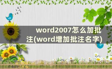 word2007怎么加批注(word增加批注名字)