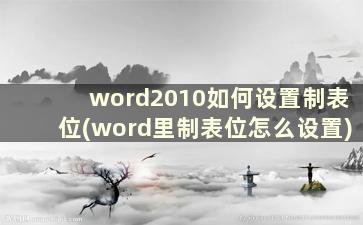 word2010如何设置制表位(word里制表位怎么设置)