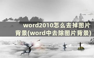 word2010怎么去掉图片背景(word中去除图片背景)