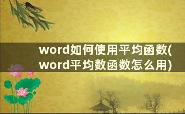 word如何使用平均函数(word平均数函数怎么用)