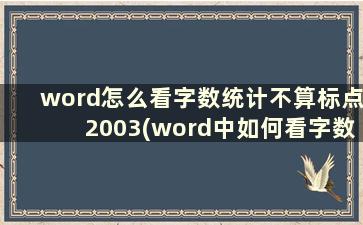 word怎么看字数统计不算标点2003(word中如何看字数统计)