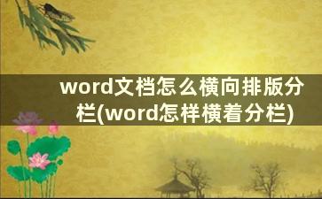 word文档怎么横向排版分栏(word怎样横着分栏)