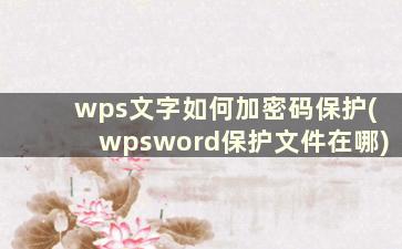 wps文字如何加密码保护(wpsword保护文件在哪)