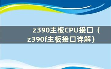 z390主板CPU接口（z390f主板接口详解）