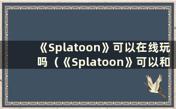 《Splatoon》可以在线玩吗（《Splatoon》可以和好友配对吗）