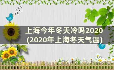 上海今年冬天冷吗2020(2020年上海冬天气温)