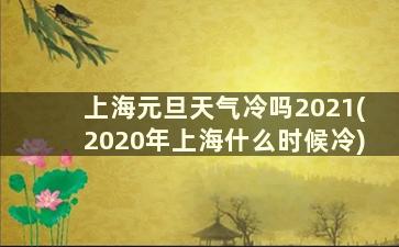 上海元旦天气冷吗2021(2020年上海什么时候冷)