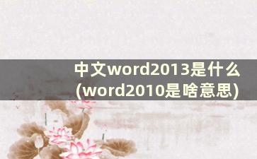 中文word2013是什么(word2010是啥意思)