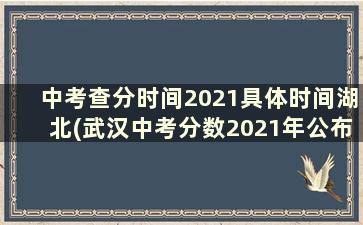 中考查分时间2021具体时间湖北(武汉中考分数2021年公布时间)