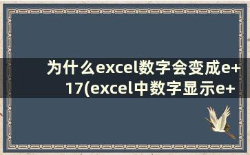 为什么excel数字会变成e+17(excel中数字显示e+18)