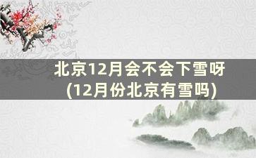 北京12月会不会下雪呀(12月份北京有雪吗)