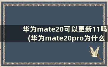 华为mate20可以更新11吗(华为mate20pro为什么不能更新11)
