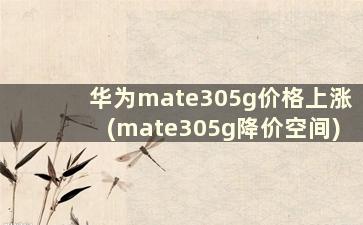 华为mate305g价格上涨(mate305g降价空间)