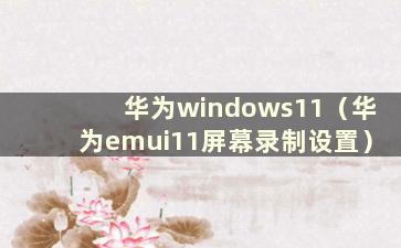 华为windows11（华为emui11屏幕录制设置）