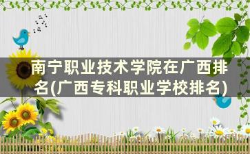 南宁职业技术学院在广西排名(广西专科职业学校排名)