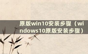原版win10安装步骤（windows10原版安装步骤）