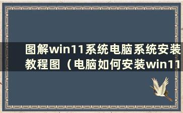 图解win11系统电脑系统安装教程图（电脑如何安装win11系统）