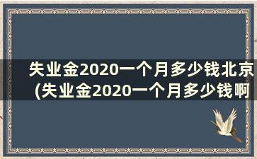 失业金2020一个月多少钱北京(失业金2020一个月多少钱啊)