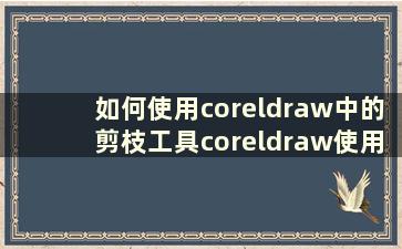 如何使用coreldraw中的剪枝工具coreldraw使用剪枝工具教程【详细讲解】