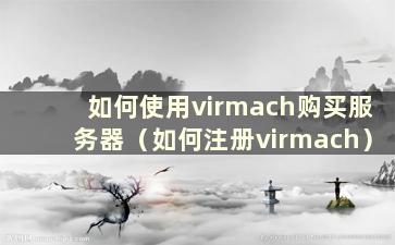 如何使用virmach购买服务器（如何注册virmach）