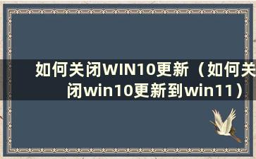 如何关闭WIN10更新（如何关闭win10更新到win11）