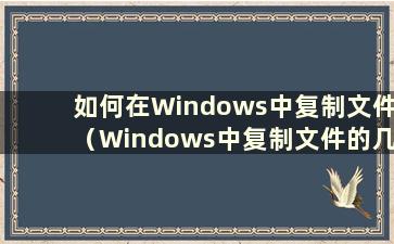 如何在Windows中复制文件（Windows中复制文件的几种方法）
