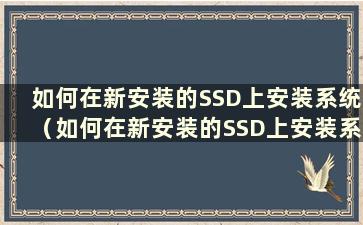 如何在新安装的SSD上安装系统（如何在新安装的SSD上安装系统还原）