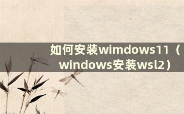 如何安装wimdows11（windows安装wsl2）