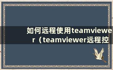 如何远程使用teamviewer（teamviewer远程控制软件）