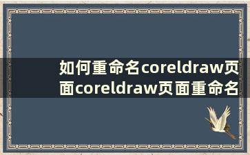 如何重命名coreldraw页面coreldraw页面重命名教程【详解】