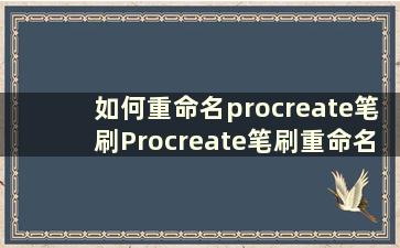 如何重命名procreate笔刷Procreate笔刷重命名方法【详细步骤】