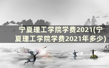 宁夏理工学院学费2021(宁夏理工学院学费2021年多少)