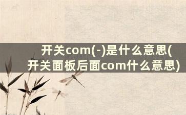 开关com(-)是什么意思(开关面板后面com什么意思)