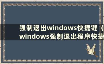 强制退出windows快捷键（windows强制退出程序快捷键）