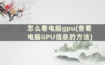 怎么看电脑gpu(查看电脑GPU信息的方法)