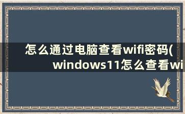 怎么通过电脑查看wifi密码(windows11怎么查看wifi密码)