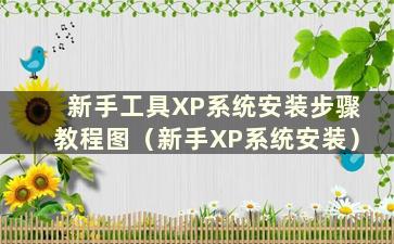 新手工具XP系统安装步骤教程图（新手XP系统安装）