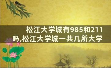 松江大学城有985和211吗,松江大学城一共几所大学